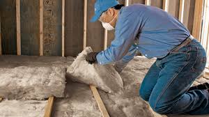 Best Basement Insulation  in Basye, VA